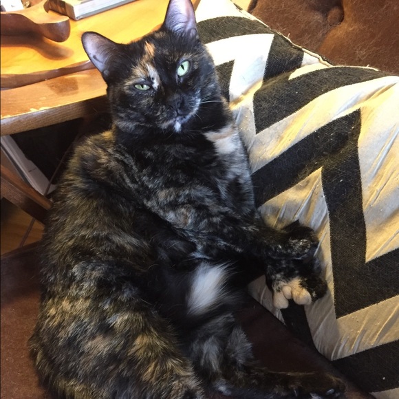 Meet your Posher - Picture 2 of 3